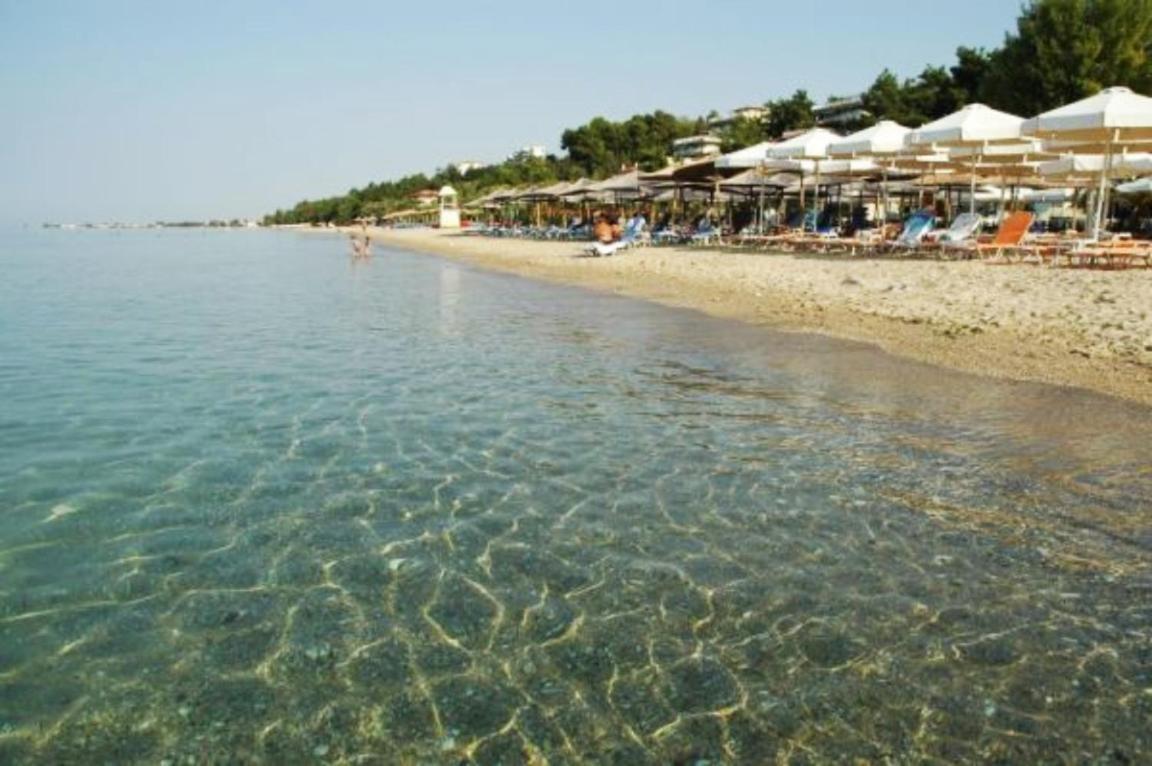 Villa Veneti Suite - Probio - 80M2 Nea Moudania Exteriér fotografie